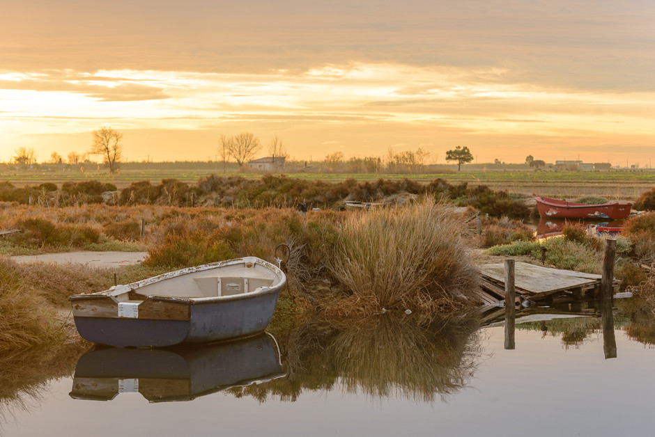 LA MAGIA DE LA NATURALEZA