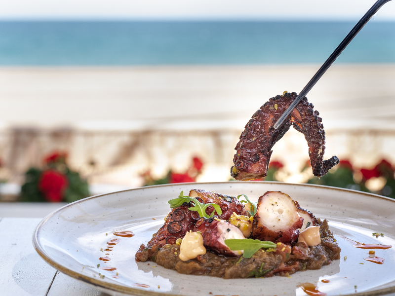 JORNADAS GASTRONÓMICAS DEL PULPO