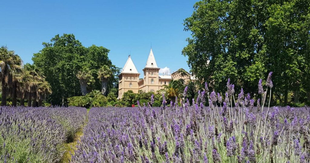 UN JARDÍN CON HISTORIA – PARC SAMÀ